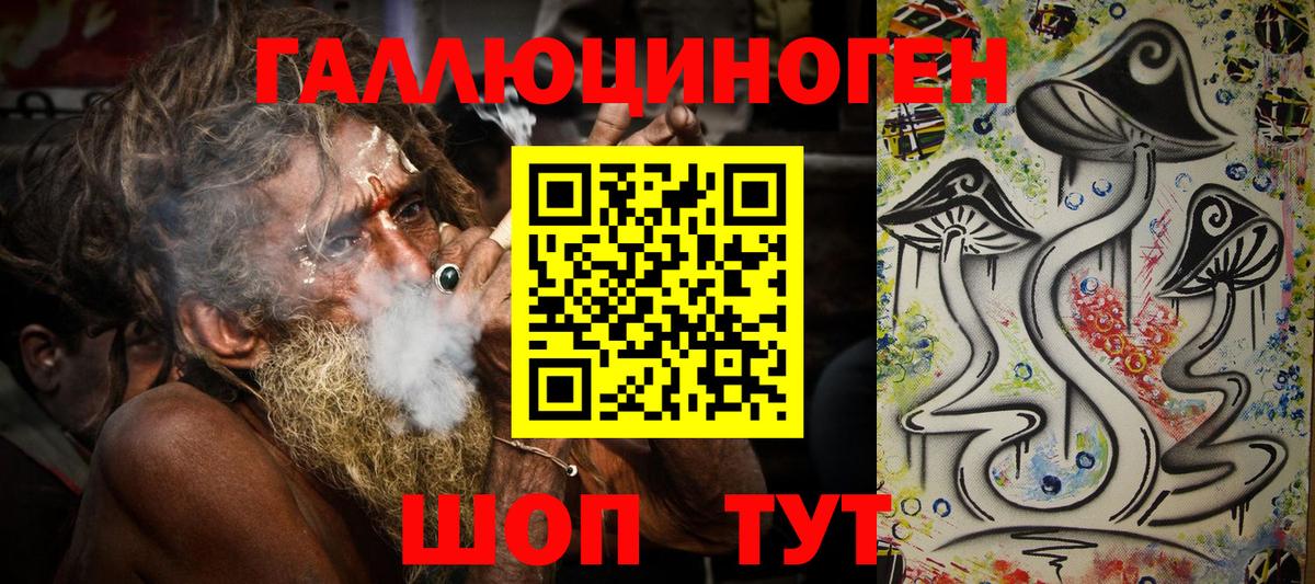 Псилоцибиновые грибы Cubensis  Вход с VPN  Павлово 